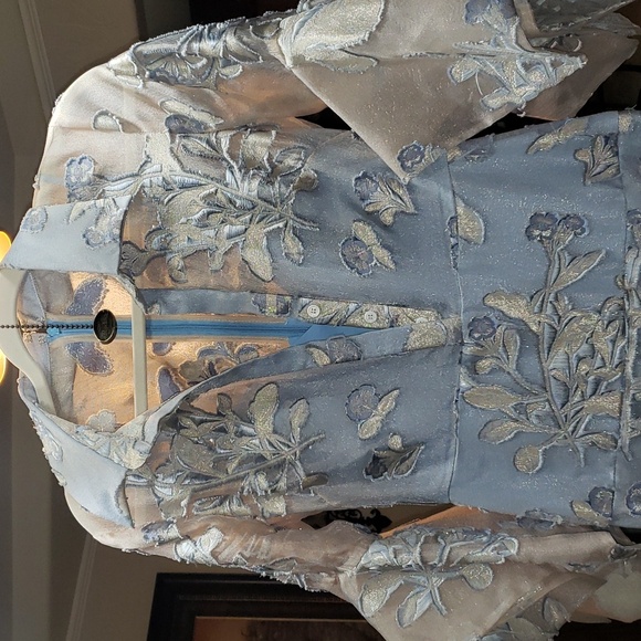 Badgley Mischka Gown - Picture 17 of 17